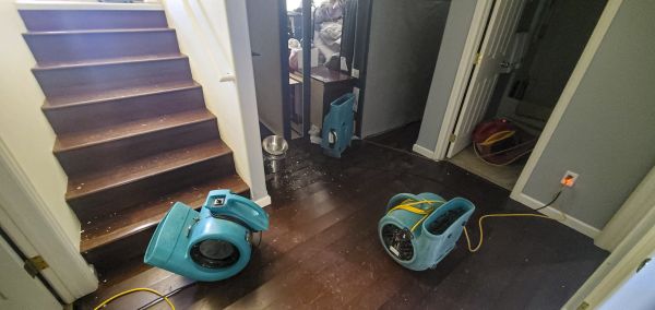 Cost of Water Damage Remediation in Matthews
