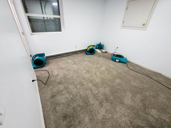 Cost of Flood Restoration Service in Matthews