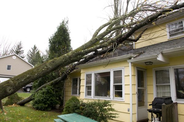 Cost of Storm Damage Mitigation in Matthews